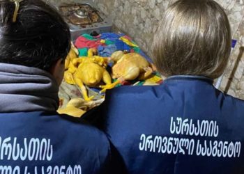 სურსათის ეროვნულმა სააგენტომ აბაშაში, გორში, წყალტუბოსა და გარდაბანში ფრინველთა არალეგალური სასაკლაოები გამოავლინა