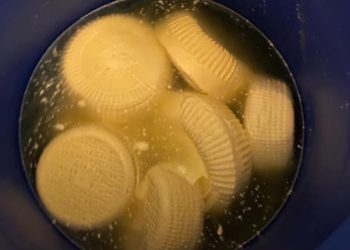 სურსათის ეროვნულმა სააგენტომ ბაღდათში ყველის არალეგალური საწარმო გამოავლინა