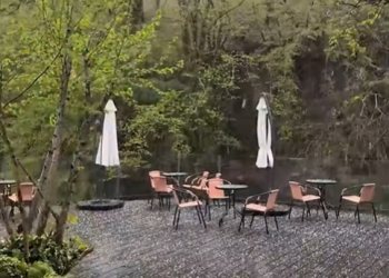 სეტყვა მარტვილის მუნიციპალიტეტში – რა ვიდეო ვრცელდება