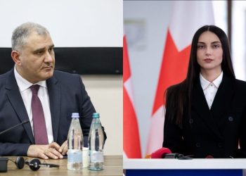 “ავადმყოფურ ტყუილებს ტირაჟირებთ” – სარჯველაძე ფილფანს