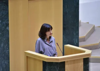 პარლამენტი დღეს, ინტერპელაციის წესით, მაკა ბოჭორიშვილს მოუსმენს