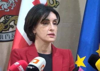 “ოპოზიციური ალიანსების დღის წესრიგი არის გასაგები, დღის წესრიგი არის დესტრუქციული, რადიკალური” – მაკა ბოჭორიშვილი