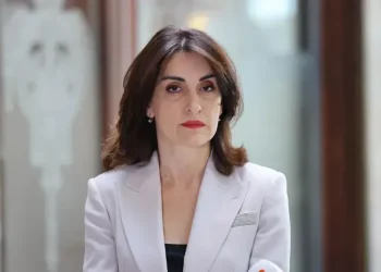 14-17 აპრილის სასესიო კვირაში პარლამენტი ინტერპელაციის წესით მაკა ბოჭორიშვილს მოუსმენს