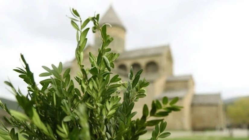 ლოცვა, რომელიც ბზობას უნდა წარმოთქვათ