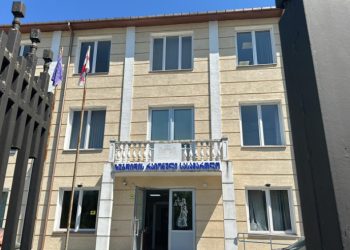 პენსიონერის მკვლელობაში ბრალდებული ფსიქიატრიულ დაწესებულებაში გადაიყვანეს