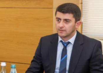 განაჩენის გამოცხადების შემდეგ, ვლადიმერ ღუდუშაურის ადვოკატი პირველ კომენტარს აკეთებს