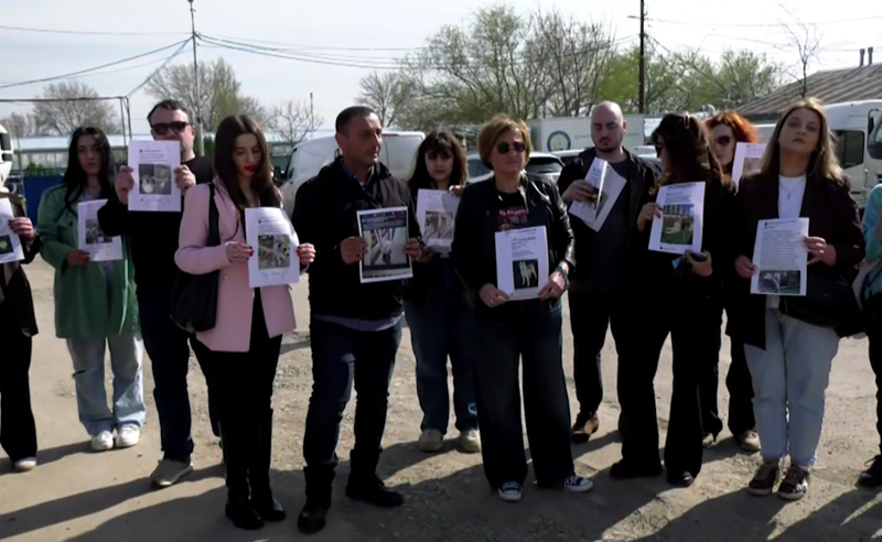 “არ გვეშინია” – ცხოველთა უფლებადამცველები მერიის განცხადებას პასუხობენ