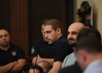 “არ იფიქროთ, რომ რამეს გთხოვთ, თქვენ სამართლიანად განსჯას სამართლიანობის პრინციპი გთხოვთ, მე სათხოვარი არაფერი მაქვს” – ანდრო ჭიჭინაძე მოსამართლეს