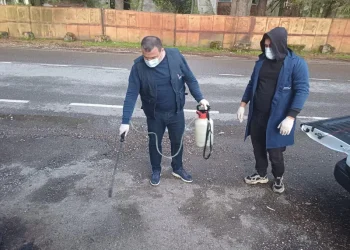 სურსათის ეროვნული სააგენტოს ცნობით, სოფელ ბანძაში ცოფის სალიკვიდაციო ღონისძიებები მიმდინარეობს