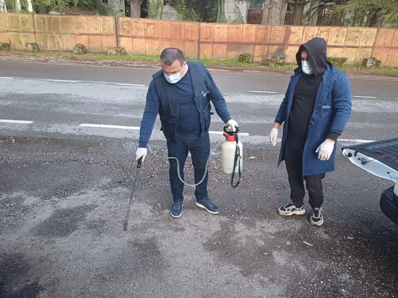 სურსათის ეროვნული სააგენტოს ცნობით, სოფელ ბანძაში ცოფის სალიკვიდაციო ღონისძიებები მიმდინარეობს