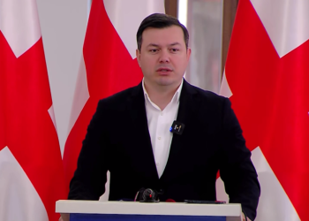 “სუს-ი ივანიშვილის პირად სამსახურად იქცა“ – ფარულავა “ქართულ ოცნებას”