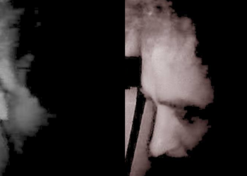 ფრანგების ოჯახი აცხადებს, რომ საქართველოში გაძარცვეს