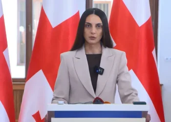 “ბატონი კობახიძე ფასების კლებას მოქალაქეებს დეკემბერში დაჰპირდა, რამდენიმე თვე გავიდა და ფასებმა მოიმატა” – ვიკა ფილფანი