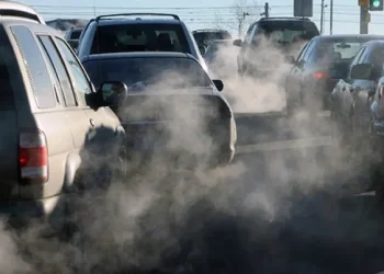 გარემოსდაცვითი ზედამხედველობის დეპარტამენტის ინფორმაციით, ხილულ გამონაბოლქვთან დაკავშირებით მძღოლებისათვის გამოწერილი ჯარიმების სტატისტიკა მატულობს