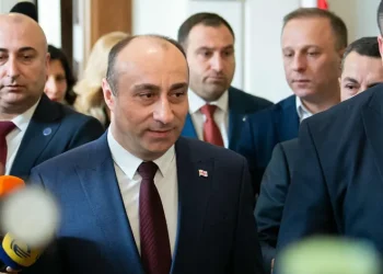 თავდაცვის კომიტეტში გელა გელაძის მოსმენა დახურულ ფორმატში მიმდინარეობს