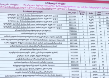 ოზურგეთის მერიისთვის 2000 ლარის ჭურჭელი იყიდეს