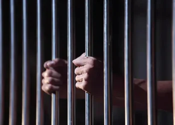 2025 წელს, შეინიშნება პატიმართა რაოდენობის 22,6%-ით ზრდა, ამავე წლის დეკემბრის მონაცემებით, პენიტენციურ დაწესებულებებში პატიმართა განთავსების საერთო ლიმიტი 90.4%-ით იყო შევსებული