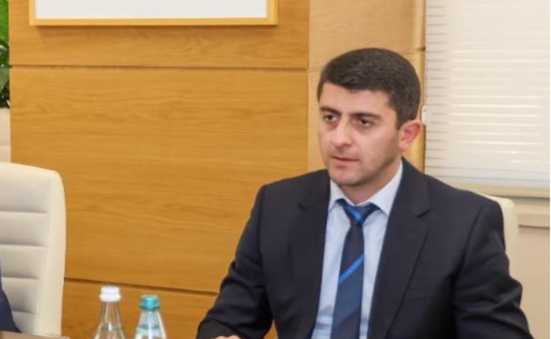 ვლადიმერ ღუდუშაურს განცხადებაში, სადაც საპროცესო შეთანხმებას ითხოვს, ზიანის ანაზღაურება არ მიუთითებია