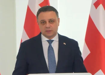 “ქართული მხარე ანაკლიის პორტის პროექტთან დაკავშირებით ამერიკული მხარის ინტერესს ვერ ხედავს – ჩვენ ღია ვართ ამისთვის, მობრძანდნენ, გამოხატონ!” – ალუდა ღუდუშაური