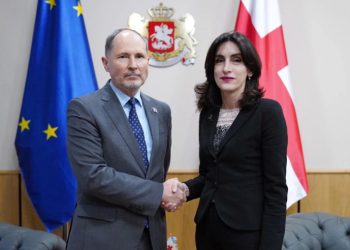 მაკა ბოჭორიშვილი ამბობს, რომ ევროკავშირის ელჩს საგარეოში დაიბარებენ