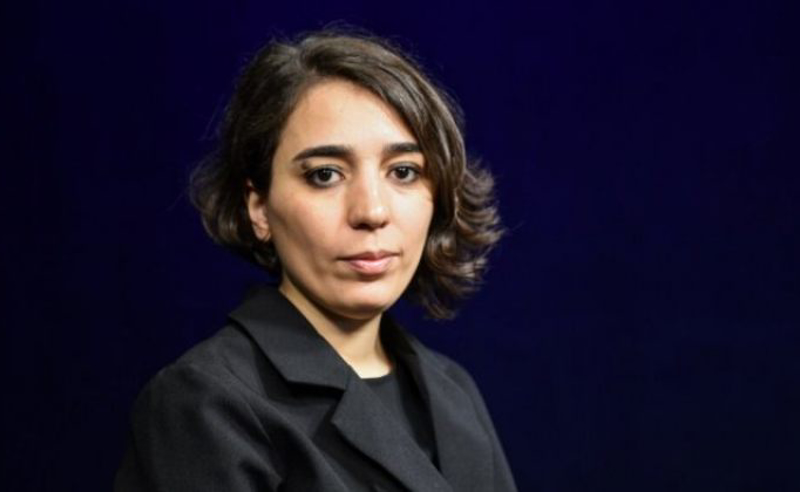 „სულთანს ვასლებმა ძღვენი მიართვეს და ტყვე გადასცეს“ – მიქელაძე სადიგოვის გაძევებაზე