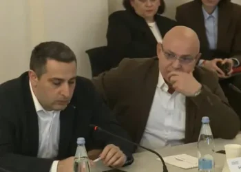 “შეიძლება ფასებზე გვქონდეს არითმიები, მაგრამ საქართველოში, გეოგრაფიიდან გამომდინარე, საწვავის დეფიციტი არასდროს გვექნება” – ნავთობპროდუქტების იმპორტიორთა კავშირის თავმჯდომარე