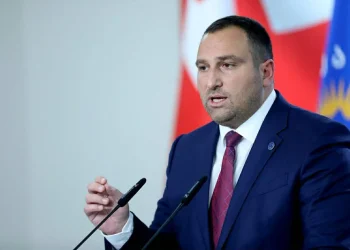 “არარჩეული ბიუროკრატია არ არის ჩვენთვის ევროპა და ევროპული ღირებულებები” – ირაკლი კირცხალია