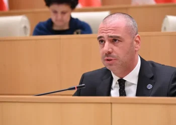 “ბატონი ორბანი უარყავითო, საიდან გებადებათ ასეთი აზრები? პირიქით, ვაფიქსირებთ, რომ ძალიან მადლიერები ვართ ბატონი ორბანის მეგობრობისთვის” – ლევან მაჭავარიანი