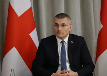 რომელ სამინისტროებზე არ გავრცელდება მდინარაძის უწყების უფლებამოსილებები