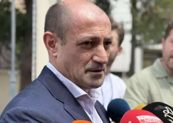 “ვლადიმერ ღუდუშაურთან დაკავშირებით მივმართავთ პროკურორს და მოთხოვნა გვექნება, რომ საქმე საპროცესო შეთანხმებითა და პირობითი მსჯავრით დასრულდეს” – ადვოკატი