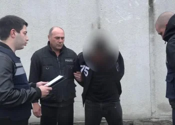 დედაზე ფსიქოლოგიური ძალადობისა და მის მიმართ სიცოცხლის მოსპობის მუქარის ფაქტზე პოლიციამ ერთი პირი დააკავა