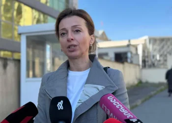 “არანაირი მტკიცებულება არ არის საქმეში, არც დაზარალებული ჰყავს საქმეს, არც მოწმე” – ანი ნადარეიშვილი ბაჩო ახალიას საქმეზე