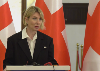 “კომისიას არ აქვს ჯადოსნური ჯოხის მოქმედების პრინციპის შესაძლებლობა” – წილოსანი გაზრდილ ფასებზე