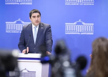 “მიუსაფარი ძაღლების პრობლემაზე უფრო დიდი პრობლემა არის ემოციურად დაზიანებული რადიკალური ოპოზიცია” – შალვა პაპუაშვილი