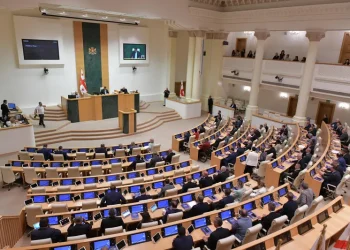 კანონპროექტის თანახმად, საქართველოს ვიზის გაცემის საკითხის განხილვის საფასური არანაკლებ 20 და არაუმეტეს 500 აშშ დოლარის ოდენობით განისაზღვრება