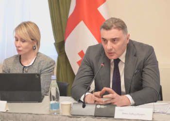 პარლამენტში ფასების კომისიის სხდომა დასრულდა – საბოლოო დასკვნა ხვალ გახდება ცნობილი