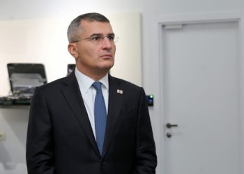 მამუკა მდინარაძის ქონებრივი დეკლარაცია საჯაროდ აღარ იძებნება – წაშლილია მისი ძველი დეკლარაციებიც 2017 წლიდან, როდესაც ის პარლამენტის წევრი იყო