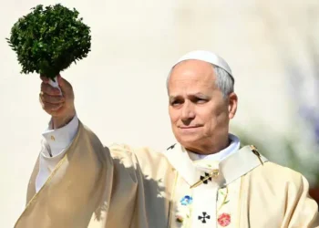 “დაე, მათ, ვისაც იარაღი აქვთ, დადონ ის – დაე, მათ, ვისაც ომის დაწყების ძალა აქვთ, მშვიდობა აირჩიონ” – რომის პაპი