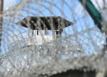 2025 წელს, პატიმრობის პროცენტული წილის კუთხით, მდგომარეობა მნიშვნელოვნად არის შეცვლილი და სახეზე გვაქვს არსებითად გაუარესებული მაჩვენებელი – ომბუდსმენი