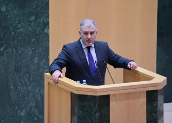 “იაფფასიანი სპეკულაციები, რომ მთელი პენსიის დახარჯვა უწევთ პენსიონერებს მედიკამენტებში, სწორი არ არის” – მიხეილ სარჯველაძე