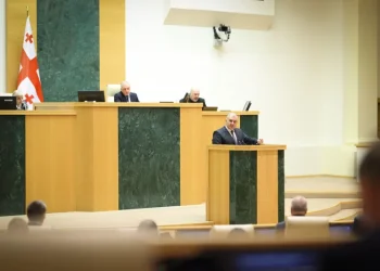 “მშობლებისთვის კარი არასდროს დაგვიხურავს – რა წამს გაჩნდება რეალური შესაძლებლობის მქონე და უსაფრთხო მედიკამენტი, სამინისტრო არ დააყოვნებს გადაწყვეტილების მიღებას” – მიხეილ სარჯველაძე