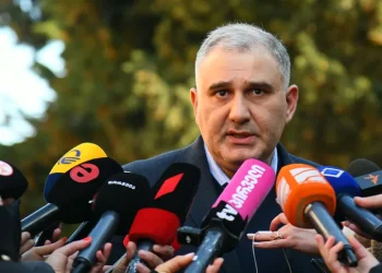 “ე.წ Exon Skipping – ამ შემთხვევაში EMA არცერთს აქვს – FDA აქვს მინიჭებული, მაგრამ აქაც დაჩქარებული წესით, რაც ნიშნავს, რომ ავტორიზაციის შემდეგ კვლევები უნდა ჩატარდეს” – მიხეილ სარჯველაძე დიუშენის სამკურნალო მედიკამენტზე