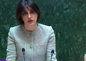 2024 წელს საქართველოსთან პოლიტიკური დიალოგი ბრიუსელის გადაწყვეტილებით შეჩერდა და არა “ოცნების” – რა თქვა ბოჭორიშვილმა პარლამენტში