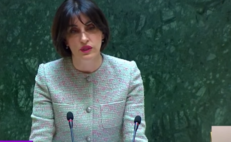 2024 წელს საქართველოსთან პოლიტიკური დიალოგი ბრიუსელის გადაწყვეტილებით შეჩერდა და არა “ოცნების” – რა თქვა ბოჭორიშვილმა პარლამენტში