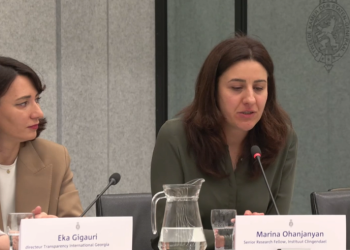 ნიდერლანდების პარლამენტში საქართველოს საკითხის შესახებ განხილვა მიმდინარეობს