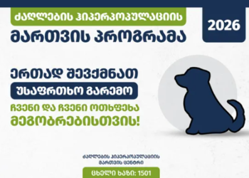 სურსათის ეროვნული სააგენტო თავშესაფარში გადაყვანილი ცხოველების შესახებ ინფორმაციას ავრცელებს