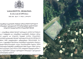 კობახიძის განკარგულებით, საპატრიარქოს ახალაბასთუმანში სახელმწიფო მიწა 1 ლარად გადაეცა