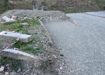 ოზურგეთში სასაფლაომდე მისასვლელი გზები მოუწესრიგებელია – თათია ნიკოლაშვილი