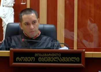 “სასჯელი დამაფიქრებელი იქნება ყველა მერყევი ელემენტისთვის, ვისაც აგრესიული ქმედება ნორმად მიაჩნია”- ავალიანის საქმის მოსამართლე