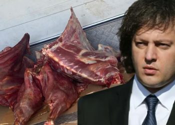 “კობახიძემ რაც 10 ლარად აღმოაჩინა, ვირის გაყინული ხორცი ყოფილა” – რომან გოცირიძე